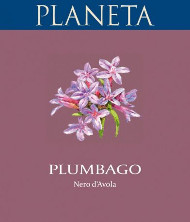 Вино Planeta, "Plumbago", Sicilia IGT, 2015 - Фото 2