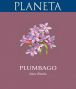 Вино Planeta, "Plumbago", Sicilia IGT, 2015 - Фото 2