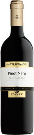 Вино "Mastri Vernacoli" Pinot Nero, Trentino DOC, 2017