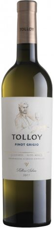 Вино "Tolloy" Pinot Grigio, Alto Adige DOC, 2017