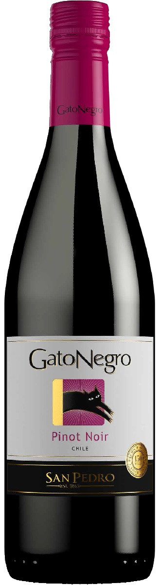 Вино "Gato Negro" Pinot Noir, 2018 - купить Вино Gato Negro в Киеве и ...