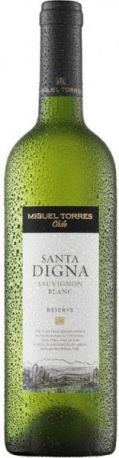 Вино Torres, "Santa Digna" Sauvignon Blanc, 2010