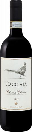 Вино Castellani, "Cacciata" Chianti Classico DOCG, 2016