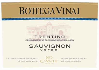Вино Cavit, "Bottega Vinai" Sauvignon, 2009 - Фото 2