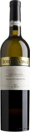 Вино Cavit, "Bottega Vinai" Sauvignon, 2010 - Фото 1