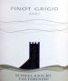 Вино Alto Adige Pinot Grigio DOC 2007 - Фото 2