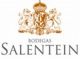 Вино "Salentein Selection" Sauvignon Blanc-Chardonnay, 2010 - Фото 2
