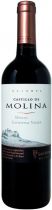 Вино "Castillo de Molina" Merlot Reserva, 2011 Вино "Castillo de Molina" Merlot Reserva, 2011