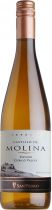 Вино "Castillo de Molina" Riesling Reserva, 2008 Вино "Castillo de Molina" Riesling Reserva, 2008