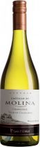Вино "Castillo de Molina" Chardonnay Reserva, 2011 Вино "Castillo de Molina" Chardonnay Reserva, 2011