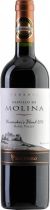 Вино San Pedro, "Castillo de Molina" Reserva Winemaker's Blend, 2010 Вино San Pedro, "Castillo de Molina" Reserva Winemaker's Blend, 2010