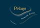 Вино Umani Ronchi, "Pelago", Marche Rosso IGT, 2009 - Фото 2
