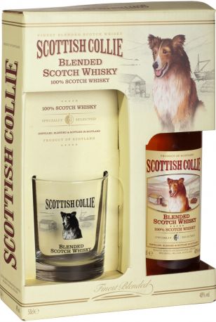 Виски Scottish Collie, gift box and glass, 0.5 л - Фото 1