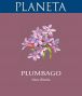 Вино Planeta, "Plumbago", Sicilia IGT, 2012 - Фото 2