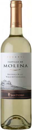 Вино "Castillo de Molina" Sauvignon Blanc Reserva, Valle de Casablanca, 2013