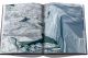Тающие льды Арктики: ландшафт, который исчезает, Assouline - Фото 5