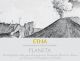 Вино Planeta, Etna Bianco IGT, 2012 - Фото 2