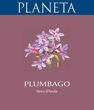 Вино Planeta, "Plumbago", Sicilia IGT, 2013 - Фото 2