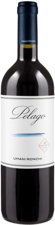 Вино "Pelago", Marche Rosso IGT, 2013