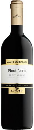 Вино "Mastri Vernacoli" Pinot Nero, Trentino DOC, 2016