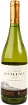 Вино Castillo de Molina Chardonnay Reserva 2009 Вино Castillo de Molina Chardonnay Reserva 2009
