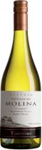Вино "Castillo de Molina" Sauvignon Blanc Reserva, Elqui Valley, 2017 Вино "Castillo de Molina" Sauvignon Blanc Reserva, Elqui Valley, 2017
