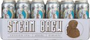 Упаковка пива Steam Brew Session IPA светлое фильтрованное 5% 0.5 л х 18 шт